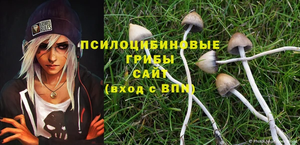 прущие крисы Алзамай