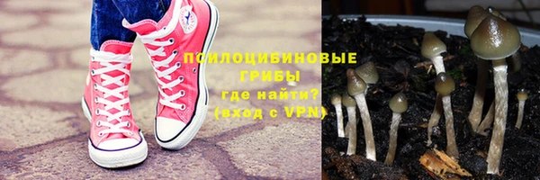 прущие крисы Алзамай