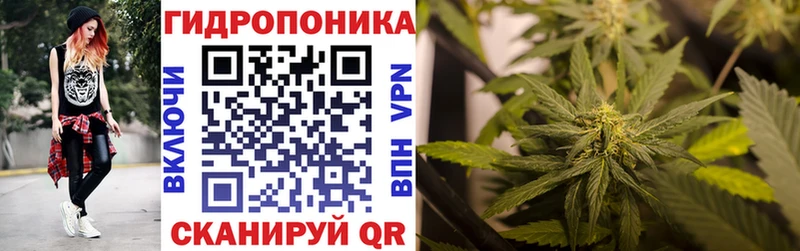 Каннабис OG Kush Духовщина